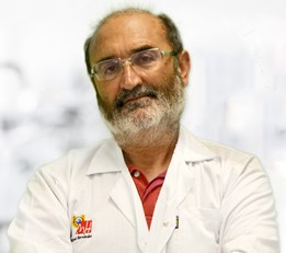 Vicente Francisco Gil Guillén